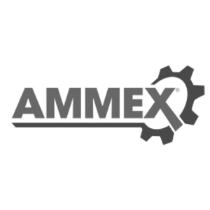 ammex logo